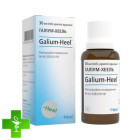 Галіум-хеель