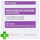 Кокарбоксилази гідрохлорид