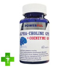 Альфа-холин глицерофосфат + Коензим Q10 POWERFUL