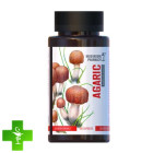 Гриб Агарик Mushroom Pharmacy Agaric