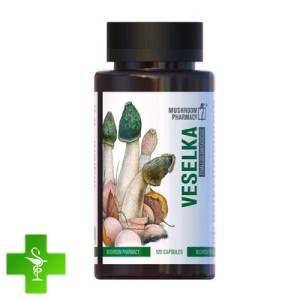 Гриб Веселка Mushroom Pharmacy Veselka