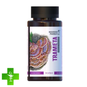 Гриб Трамета Mushroom Pharmacy Trameta