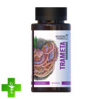 Гриб Трамета Mushroom Pharmacy Trameta
