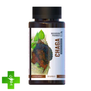 Гриб Чага Mushroom Pharmacy Chaga