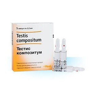 Тестис композитум