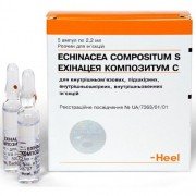 Эхинацея композитум с